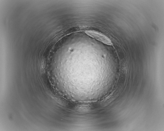 X0000116040082200911201354