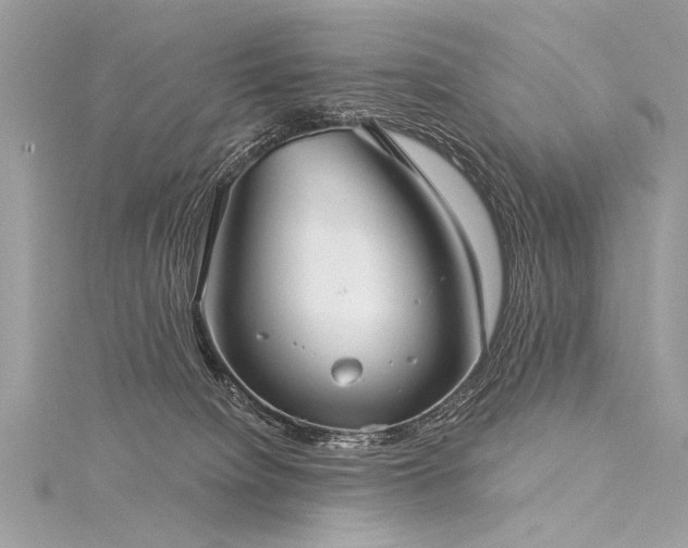 X0000116040084200911201354