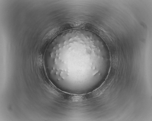 X0000116040085200911201354