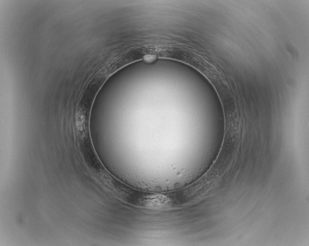 X0000116040087200911201354