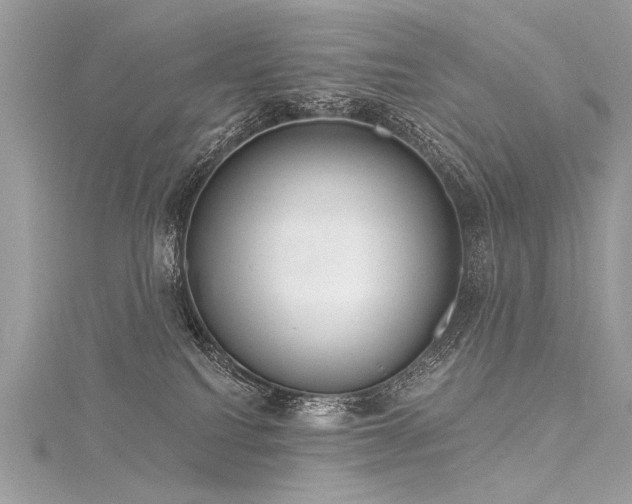 X0000116040088200911201354