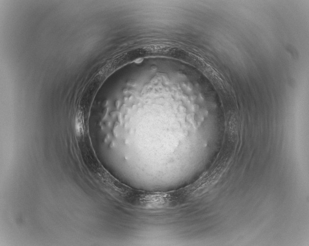 X0000116040089200911201354