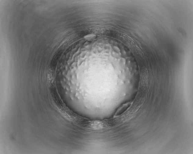 X0000116040091200911201354