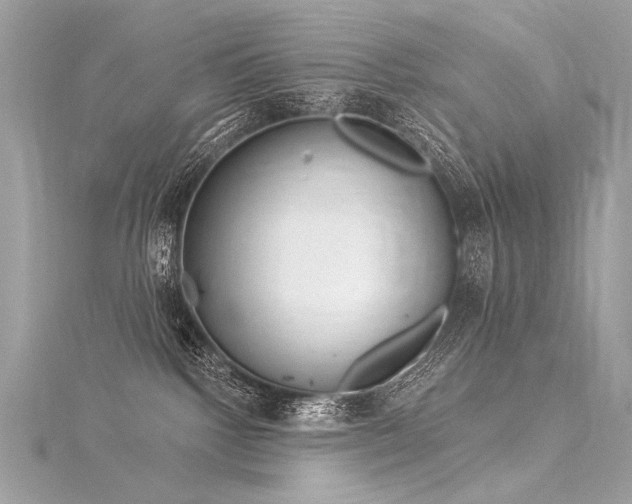 X0000116040092200911201354