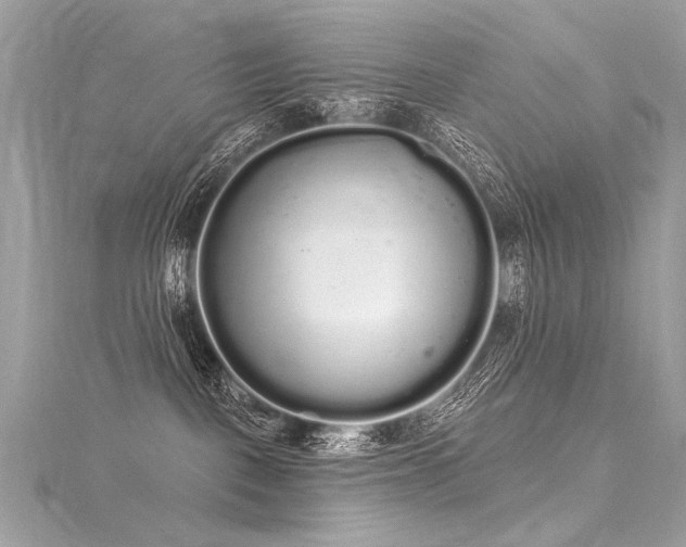 X0000116040093200911201354