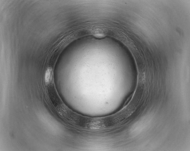 X0000116040095200911201354