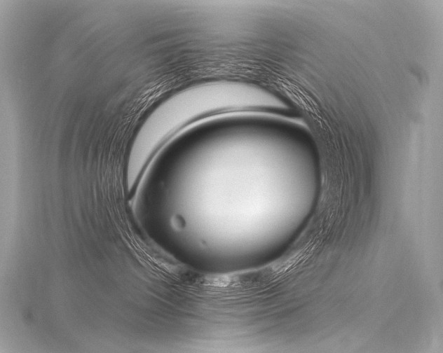 X0000116040096200911201354