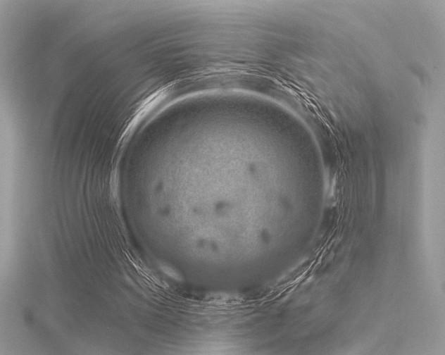 X0000116040099200911201353