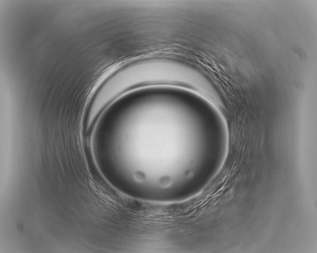 X0000116040100200911201353