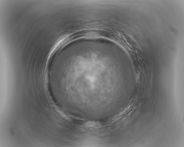 X0000116040101200911201353