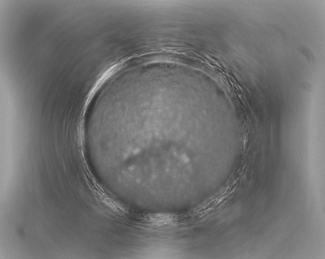 X0000116040102200911201353