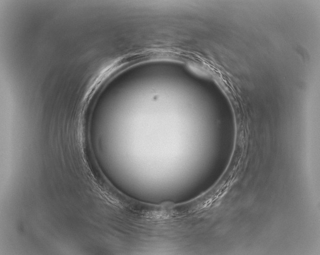 X0000116040103200911201353