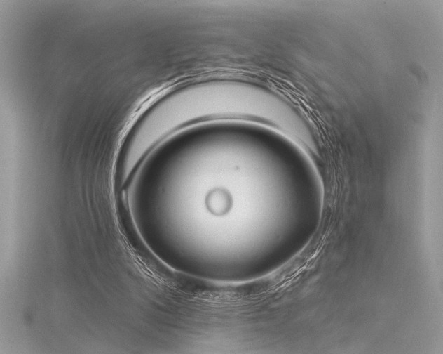 X0000116040104200911201353