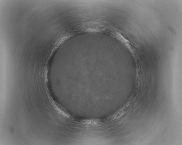 X0000116040106200911201353