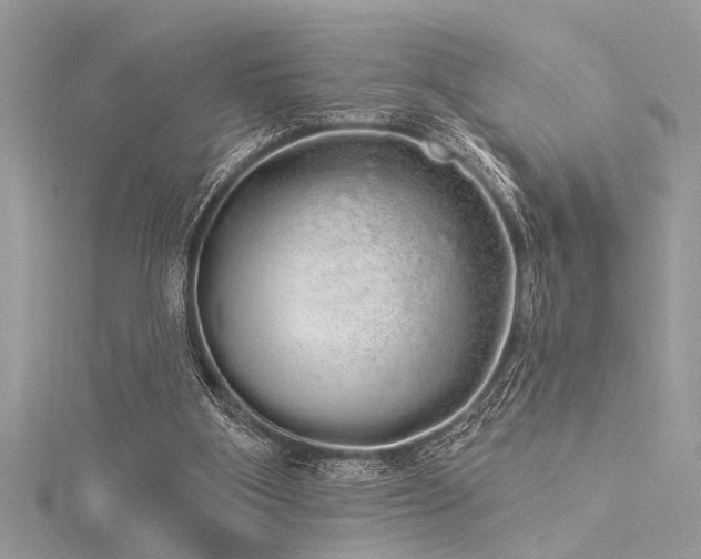 X0000116040107200911201353