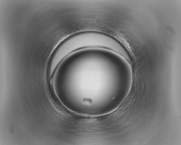 X0000116040108200911201353