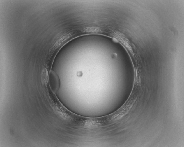 X0000116040109200911201353