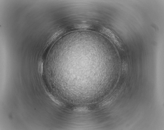 X0000116040110200911201353