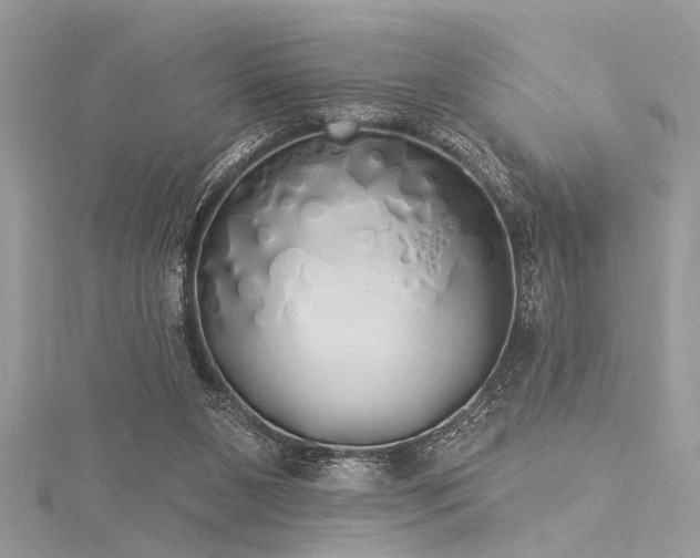 X0000116040111200911201353