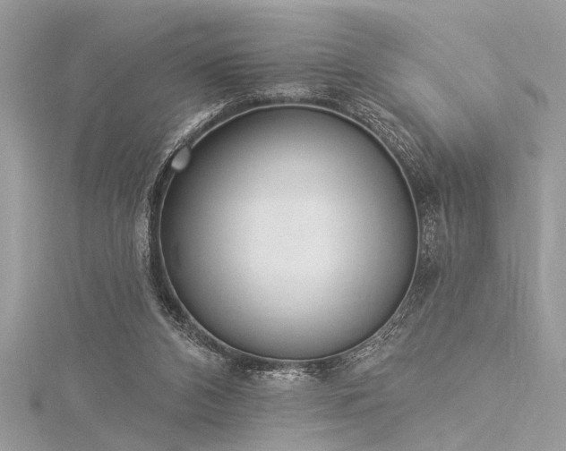 X0000116040112200911201353