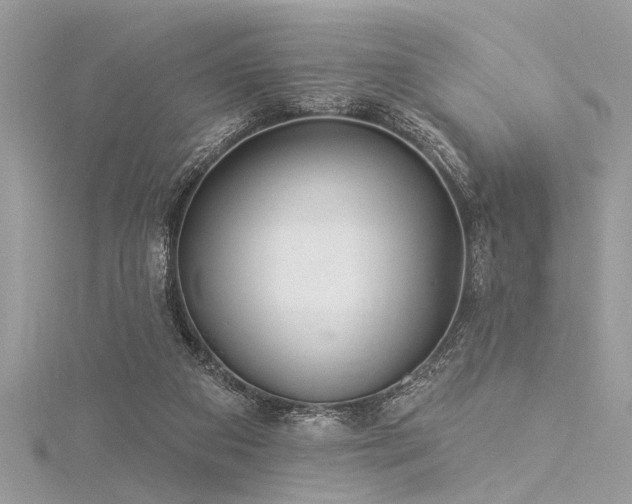 X0000116040113200911201353