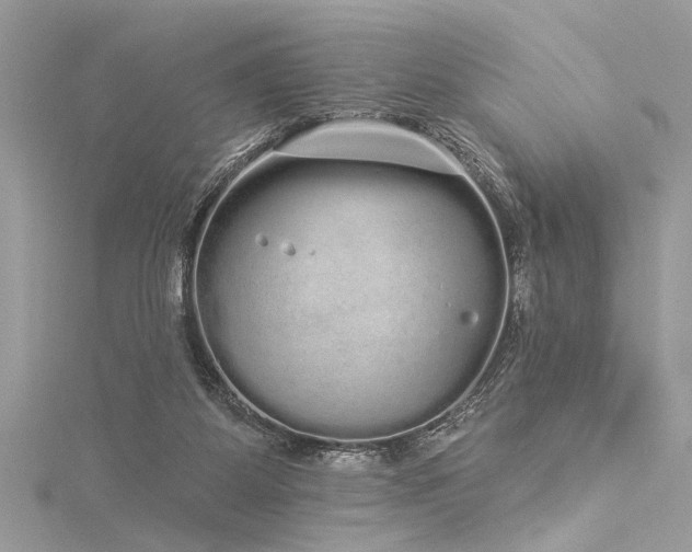 X0000116040115200911201353