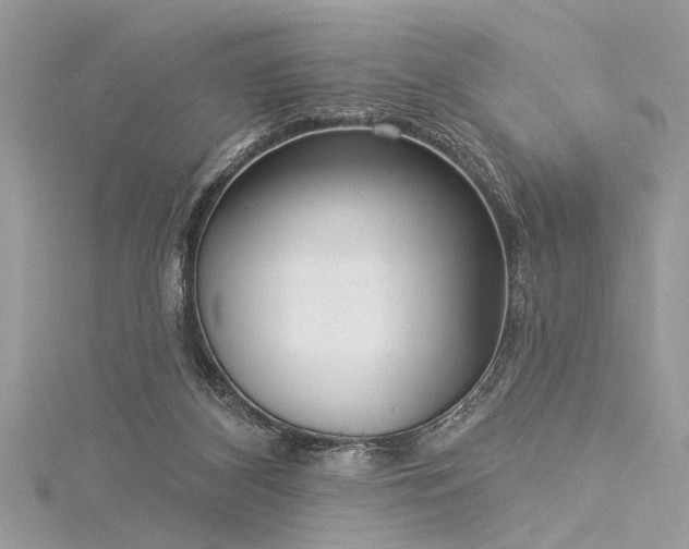 X0000116040116200911201353