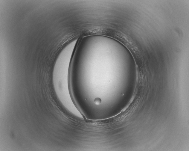 X0000116040117200911201353