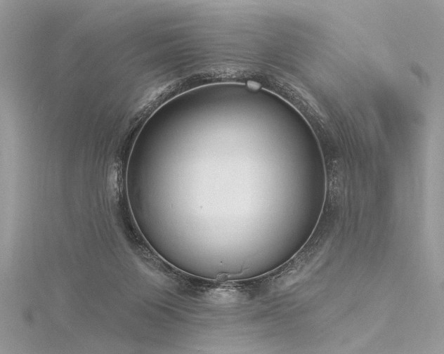 X0000116040119200911201353