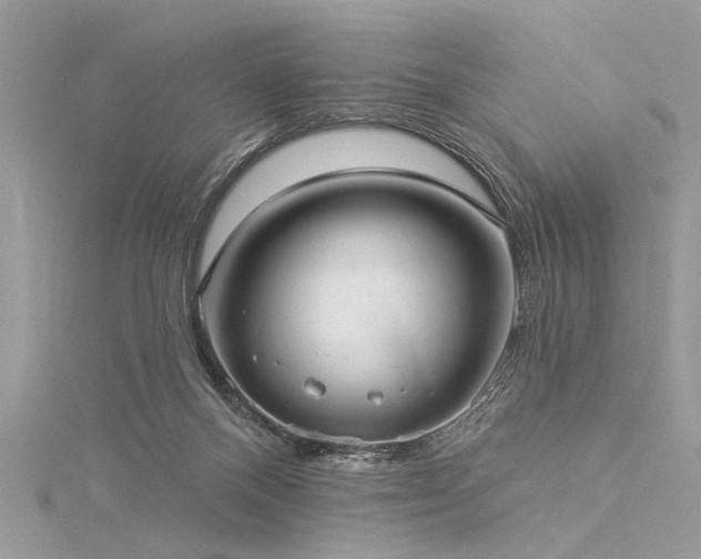 X0000116040120200911201353