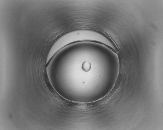 X0000116040121200911201353