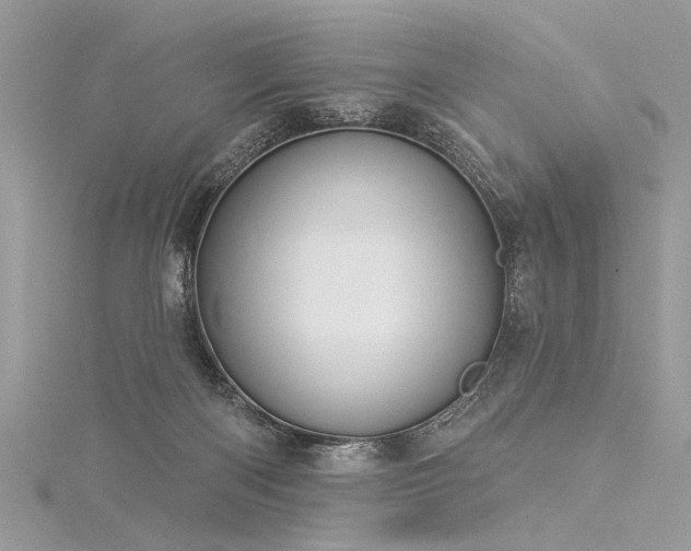 X0000116040122200911201353