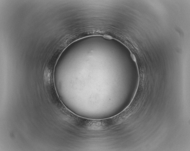 X0000116040123200911201353