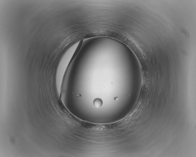 X0000116040124200911201353