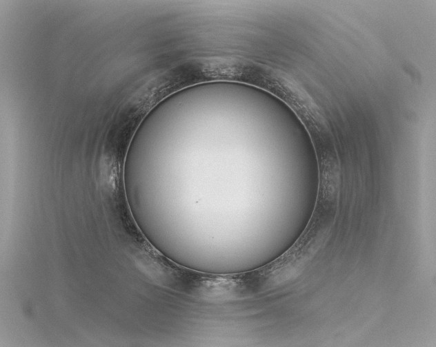 X0000116040125200911201353