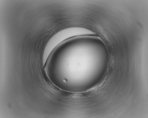 X0000116040128200911201353