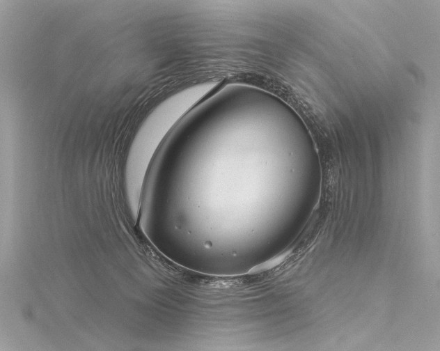 X0000116040129200911201353