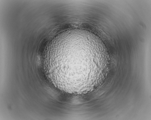 X0000116040130200911201353