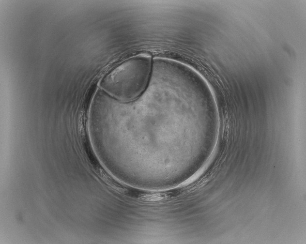 X0000116040131200911201353