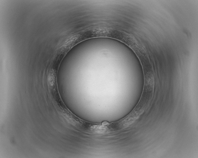 X0000116040133200911201353