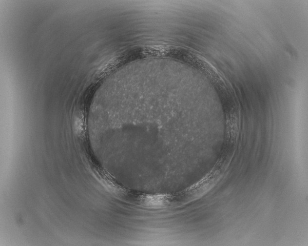 X0000116040134200911201353