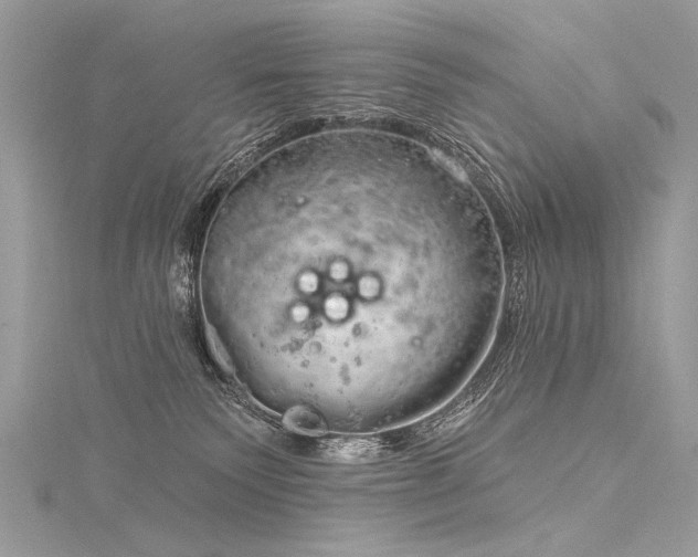 X0000116040135200911201353