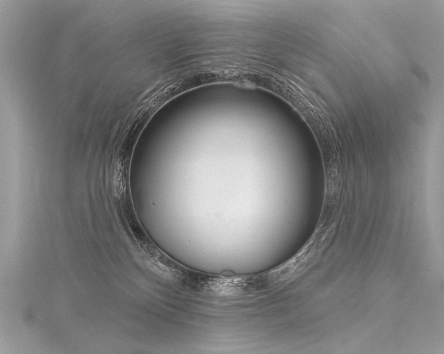 X0000116040136200911201353