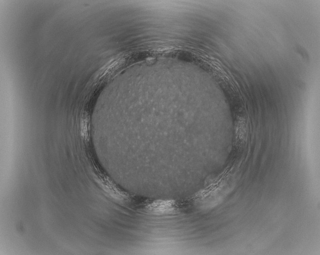 X0000116040138200911201353