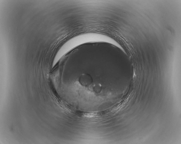 X0000116040139200911201353