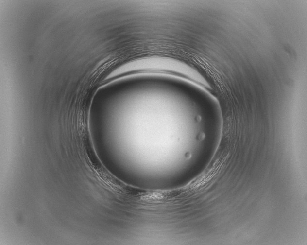 X0000116040140200911201353