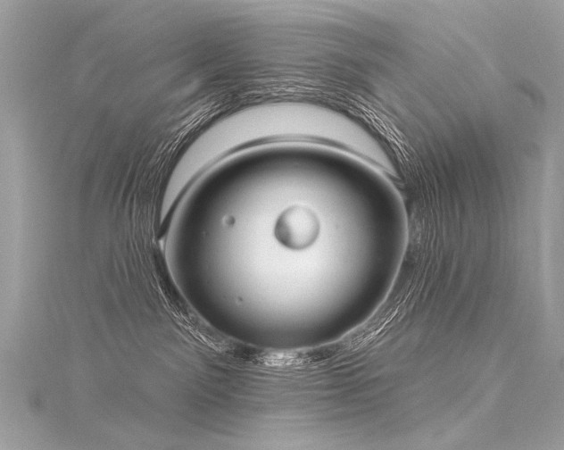 X0000116040141200911201353