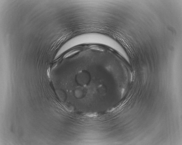 X0000116040143200911201353