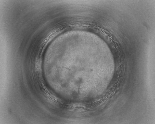 X0000116040146200911201352