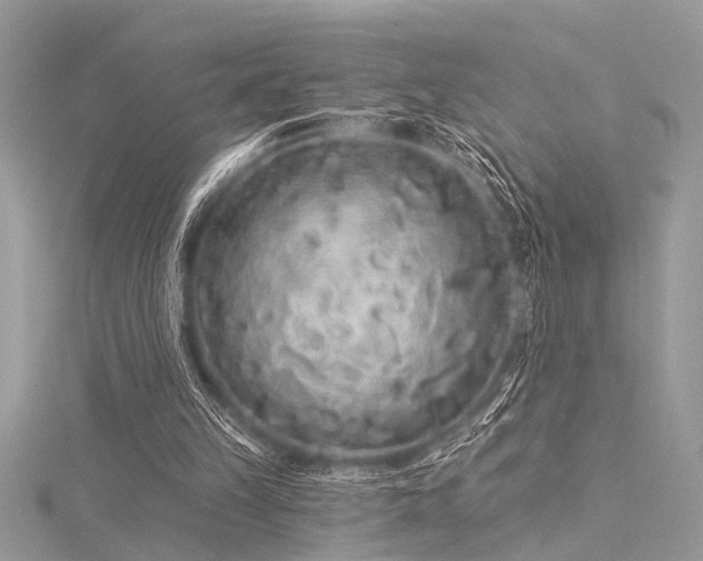 X0000116040149200911201352